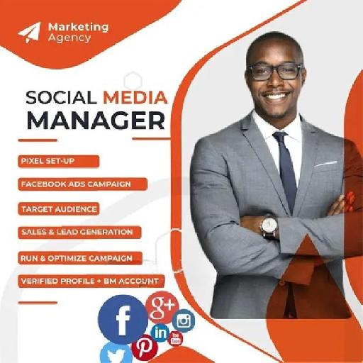 P-Tech - Social Media Ads Manager