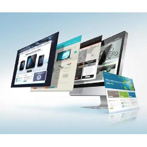 HilaxMedia - Ecommerce Website Design for All Services Providers