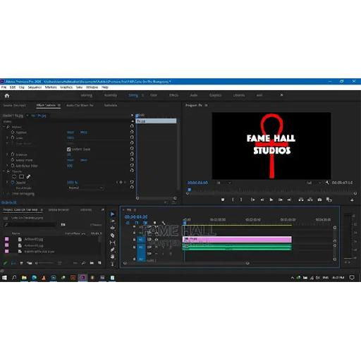 Fame - Professional Video Editor